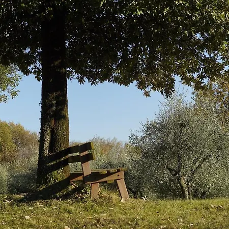 La Collina *